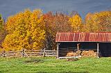 Autumn Shed_17896